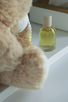 Coisy Bear