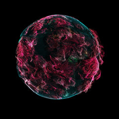Rose Umeii